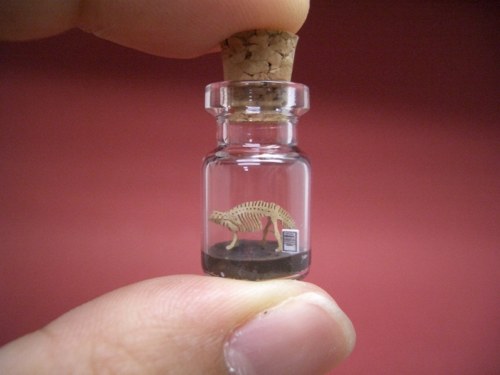 dinosaurs-in-a-bottle-1 dinosaurs in a bottle