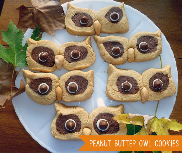 Peanut Butter Owl Cookies Tutorial