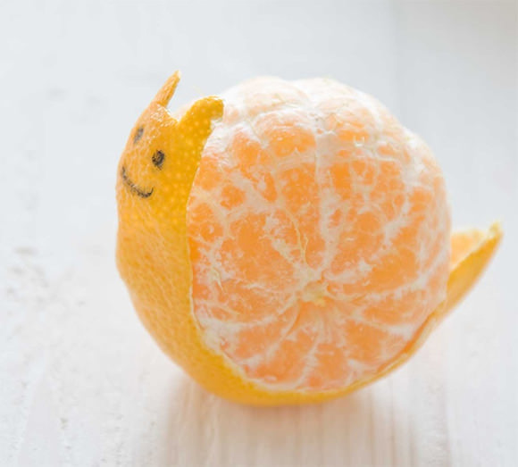DIY Tangerine Snail