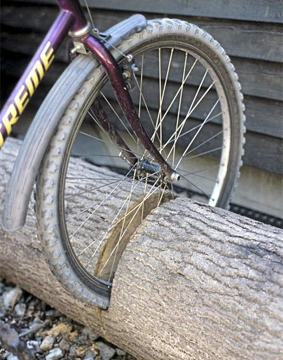 Repurpose a fallen tree into the ultimate bike stand!