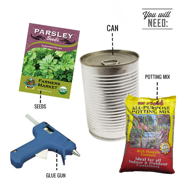DIY Pop-Top Herb Garden