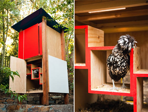 DIY Backyard Chicken Coop Plans