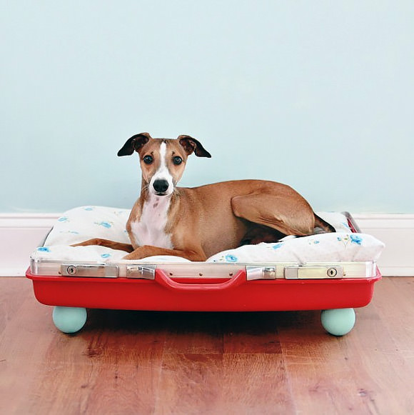 DIY Recycled Suitcase Dog Bed