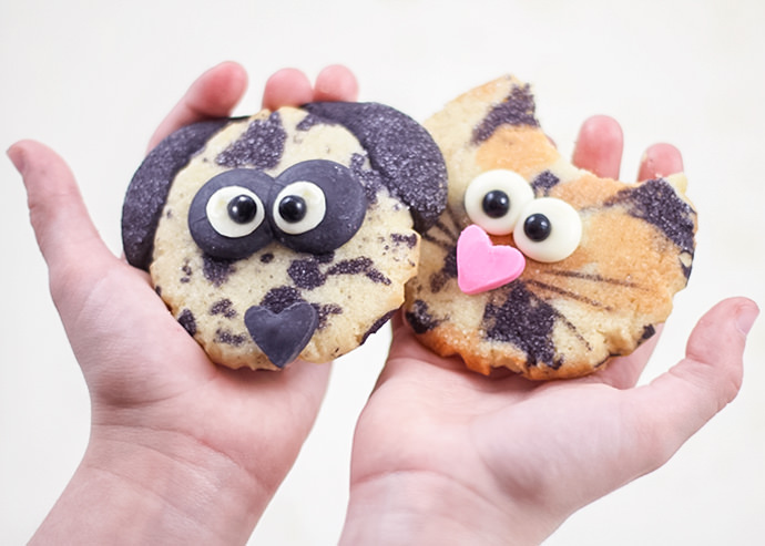 diy cat cookies