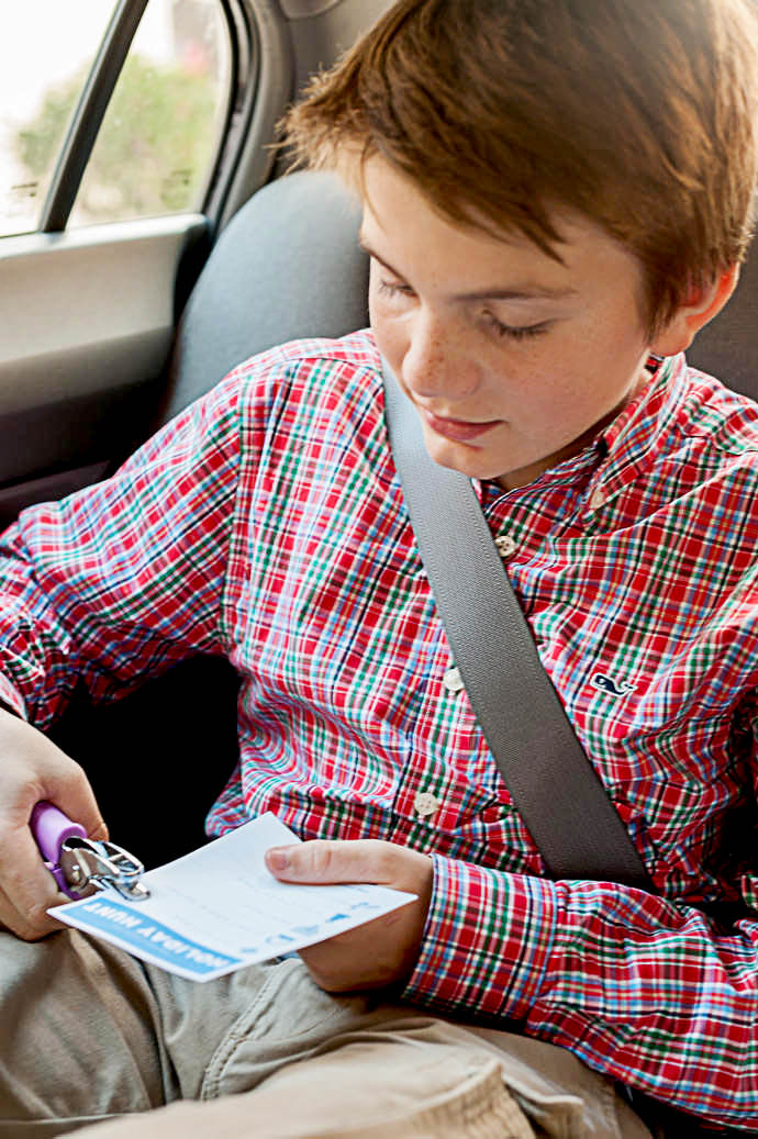 The Great Backseat Holiday Hunt