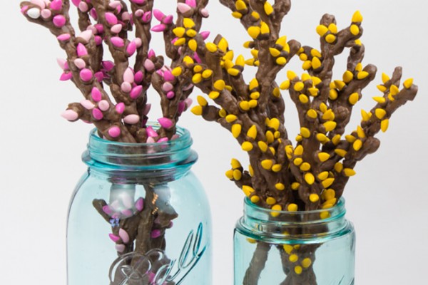 Simple Sweet & Salty Spring Branches Snack