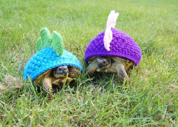 DIY Crochet Dinosaur Turtle Sweaters