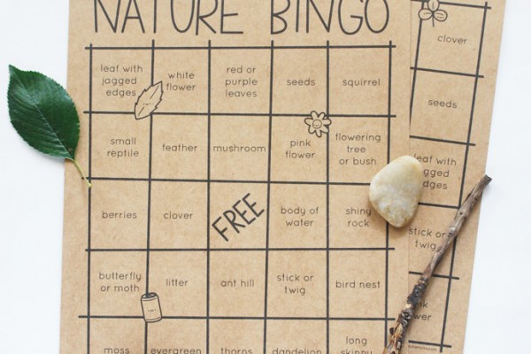 nature bingo 3 4 year olds