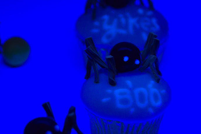 Spooky Spider Secret Message Cupcakes 