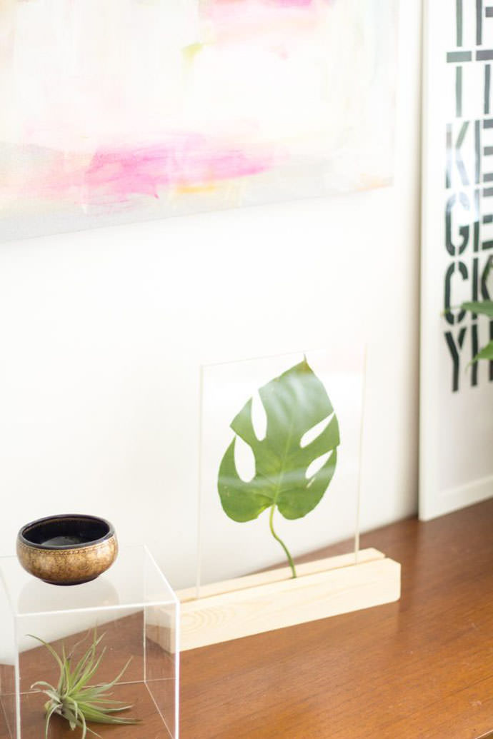 Plexiglass Framed Leaf, tutorial via eHow.