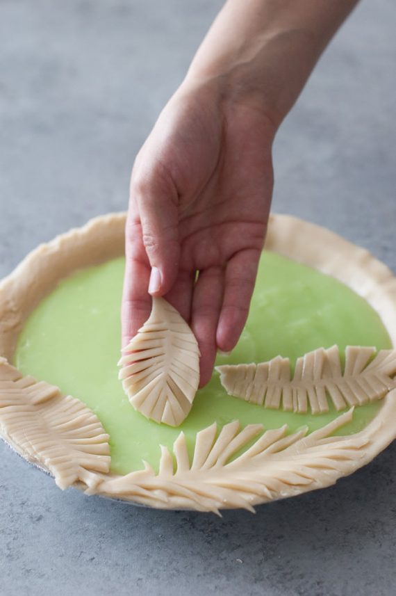 Fern Pie Crust Tutorial Handmade Charlotte