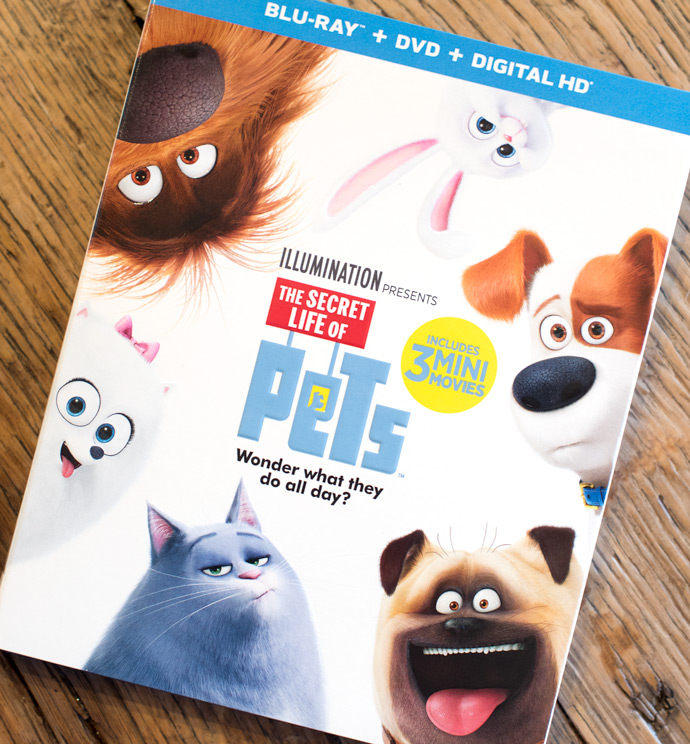 The Secret Life of Pets Party Pups | Handmade Charlotte