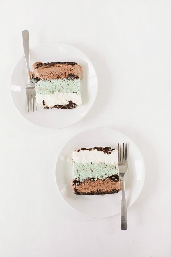 Mint Chocolate Ice Cream Cake Handmade Charlotte