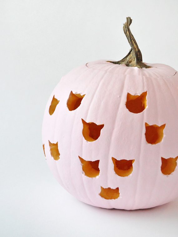 DIY Cat Drilled Pumpkins Handmade Charlotte