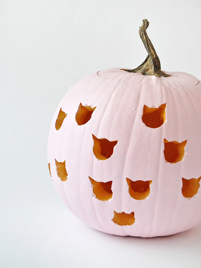 cat pumpkin