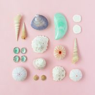 DIY Seashell Ice Cream Ornaments | Handmade Charlotte