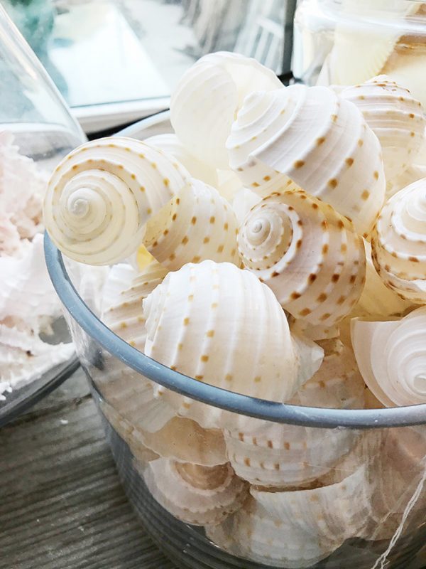 DIY Seashell Ice Cream Ornaments Handmade Charlotte