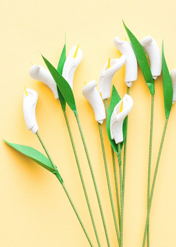 Pasta Noodle Calla Lilies Handmade Charlotte