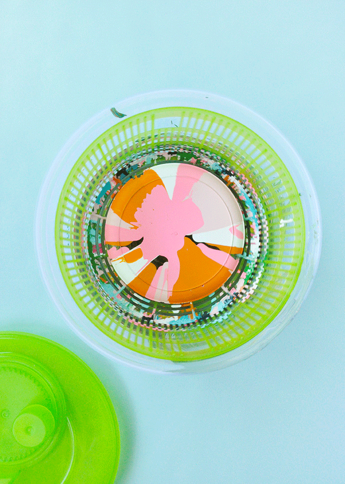 Salad Spinner Art Party Plates