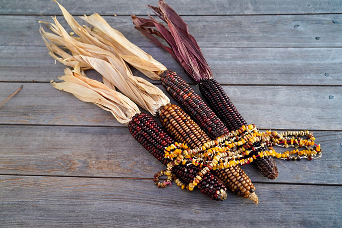 Indian Corn Necklaces 