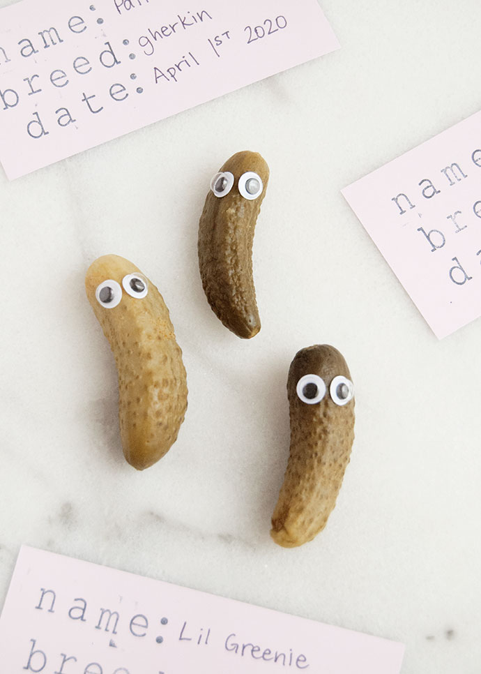 Pickle Pets for April Fool's Day Handmade Charlotte