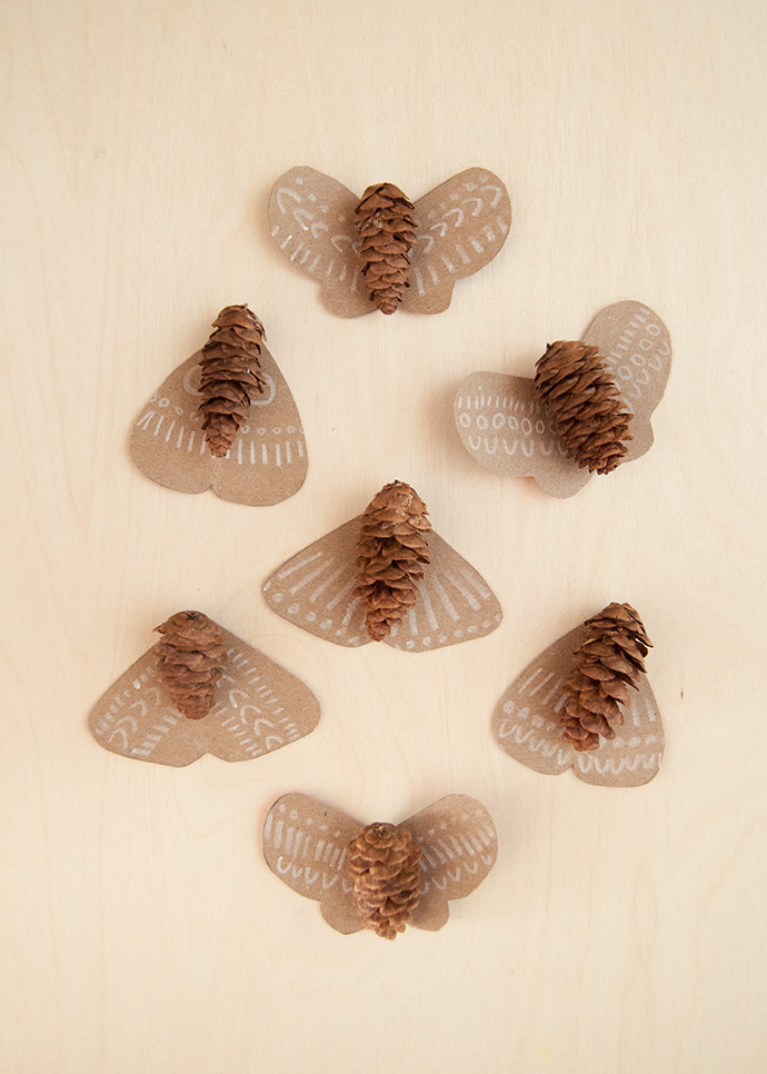 Pinecone Moths