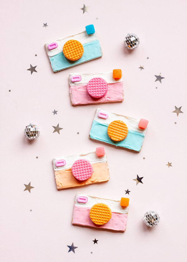 Edible Camera Treats Handmade Charlotte